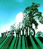 Into The Woods